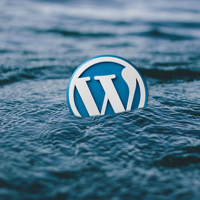 WordPress Issue? Get It Sorted for Just £1
